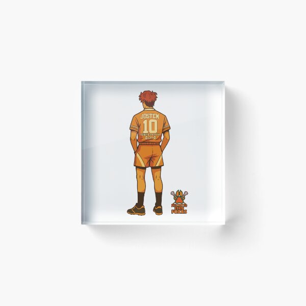 Item preview, All for the game Palmetto State Foxes Exy Neil Josten designed and sold by RamblingsRose.