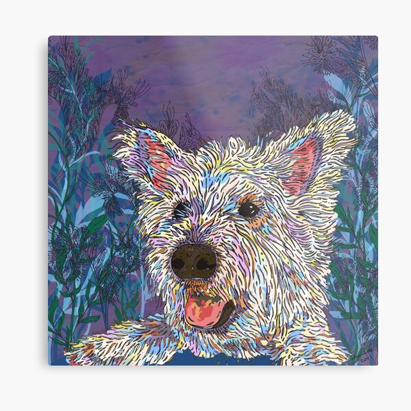 West Highland Terrier Metal Print