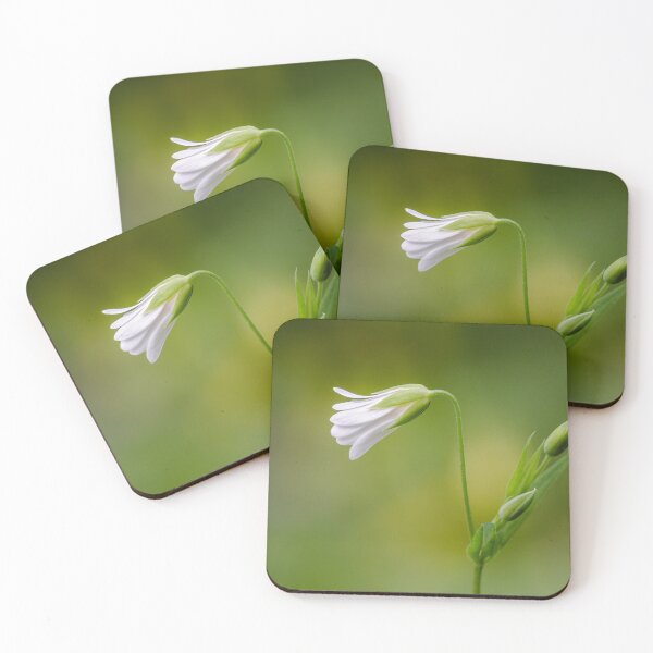 Item preview, Greater Stitchwort designed and sold by Alec Stewart.