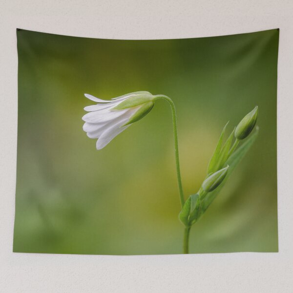 Item preview, Greater Stitchwort designed and sold by Alec Stewart.