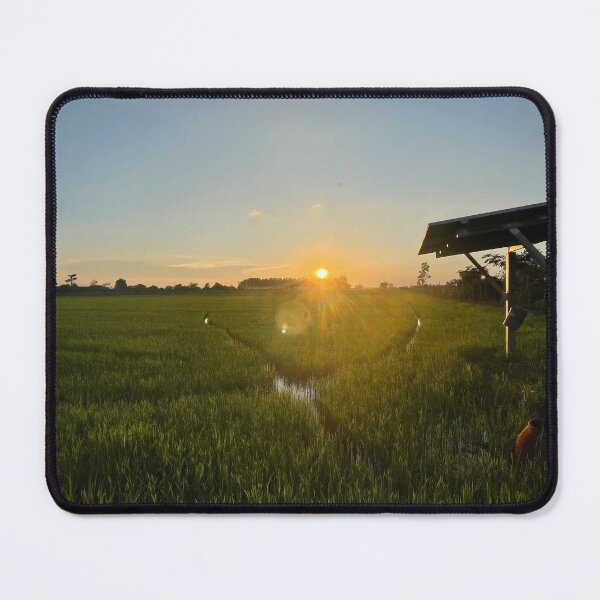 Item preview, Rice fields with sunset designed and sold by tnthisshop.