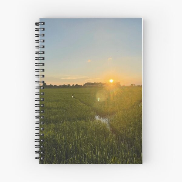 Item preview, Rice fields with sunset designed and sold by tnthisshop.
