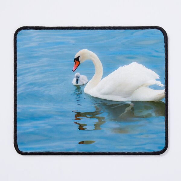 Item preview, The Elegant Swan And His Cygnet designed and sold by hurmerinta.