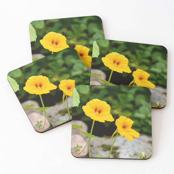 Item preview, The yellow one. Garden nasturtium designed and sold by Jouko Lehto Photography.