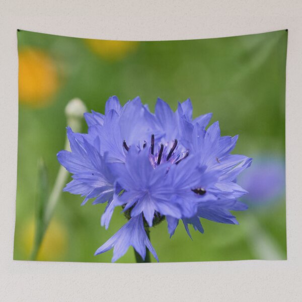 Item preview, Blues for the day. Cornflower designed and sold by Jouko Lehto Photography.