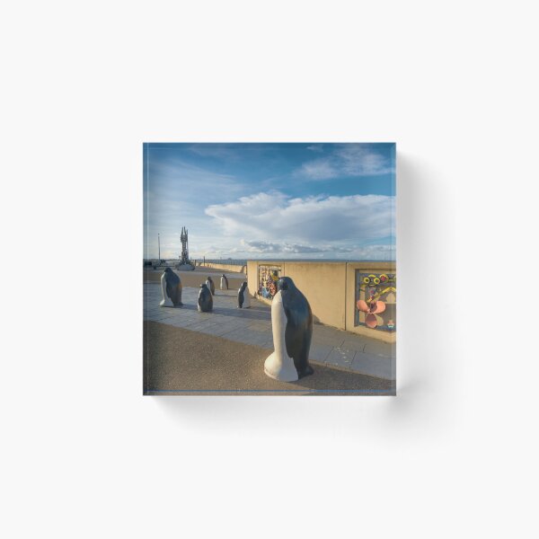 Item preview, Redcar Penguins designed and sold by Alisonchambers2.