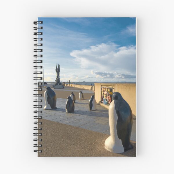 Item preview, Redcar Penguins designed and sold by Alisonchambers2.