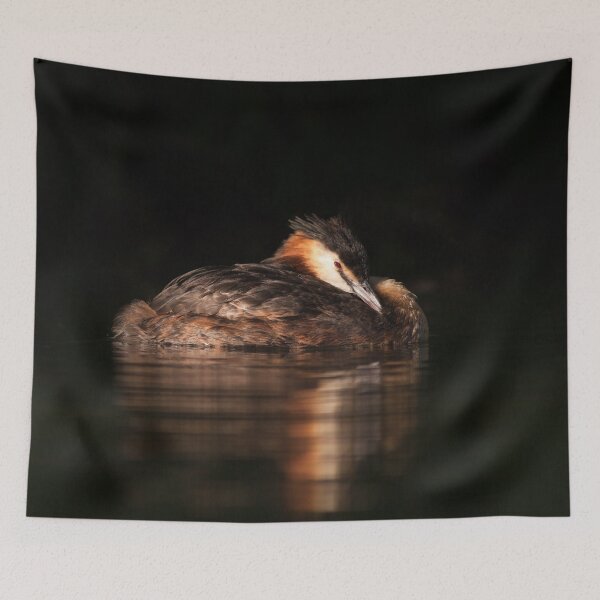 Item preview, Great Crested Grebe Resting designed and sold by Alec Stewart.