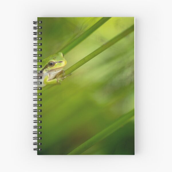 Item preview, Tree frog in grass designed and sold by Slalon85.