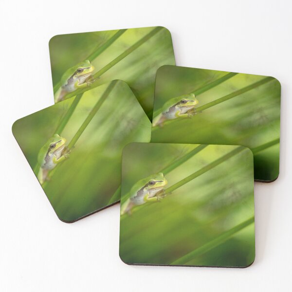 Item preview, Tree frog in grass designed and sold by Slalon85.
