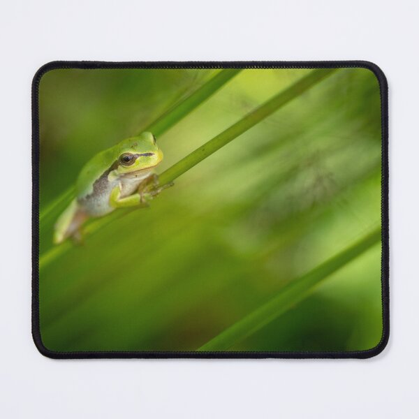 Item preview, Tree frog in grass designed and sold by Slalon85.