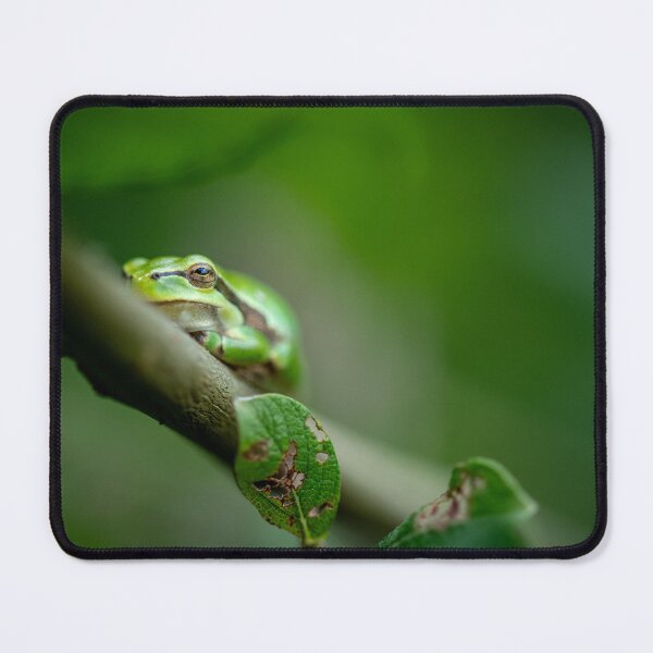 Item preview, A tree frog in a tree designed and sold by Slalon85.
