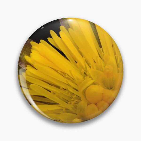 Item preview, Close-Up of Coltsfoot Flower Bloom (Tussilago farfara) designed and sold by Goiko7Margarita.