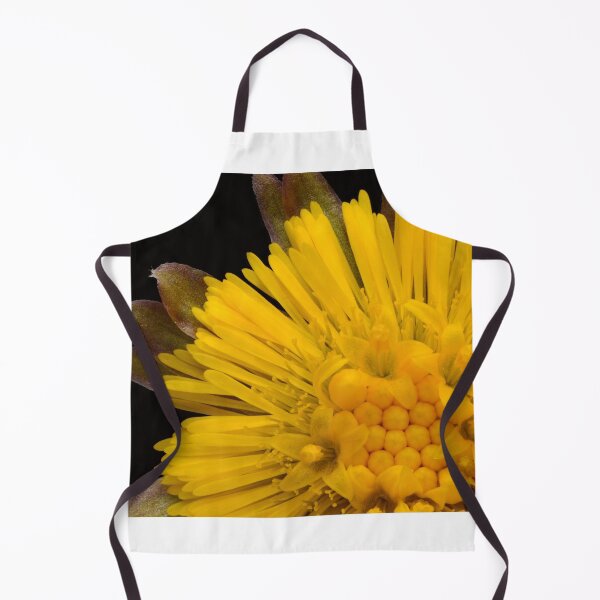 Item preview, Close-Up of Coltsfoot Flower Bloom (Tussilago farfara) designed and sold by Goiko7Margarita.