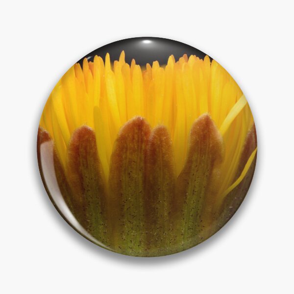Item preview, Macro of Coltsfoot Flower Bud (Tussilago farfara) designed and sold by Goiko7Margarita.