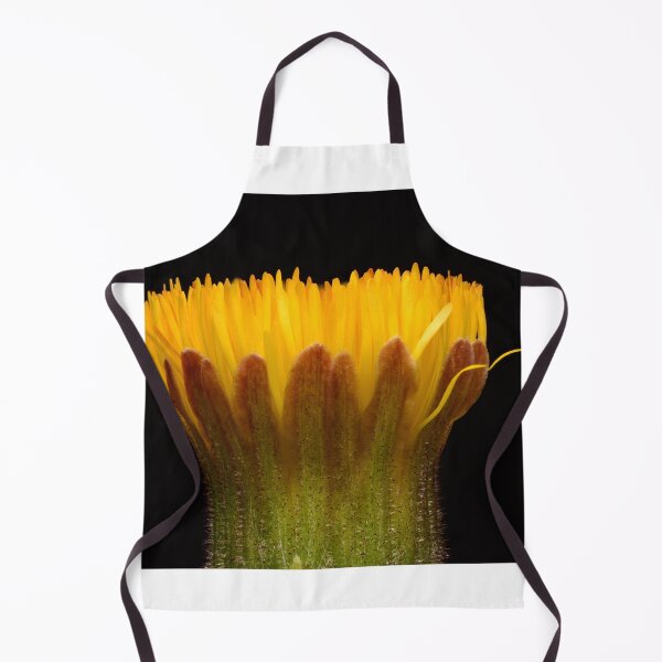 Item preview, Macro of Coltsfoot Flower Bud (Tussilago farfara) designed and sold by Goiko7Margarita.
