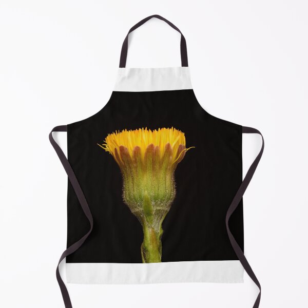 Item preview, Close-Up of Coltsfoot Bud Before Opening designed and sold by Goiko7Margarita.