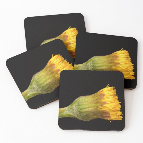 Item preview, Close-Up of Yellow Coltsfoot Bud Before Bloom designed and sold by Goiko7Margarita.