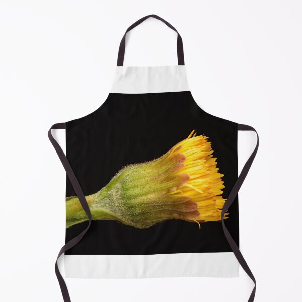 Item preview, Close-Up of Yellow Coltsfoot Bud Before Bloom designed and sold by Goiko7Margarita.