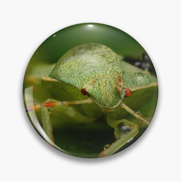 Item preview, Macro of Green Shield Bug (Palomena prasina) designed and sold by Goiko7Margarita.