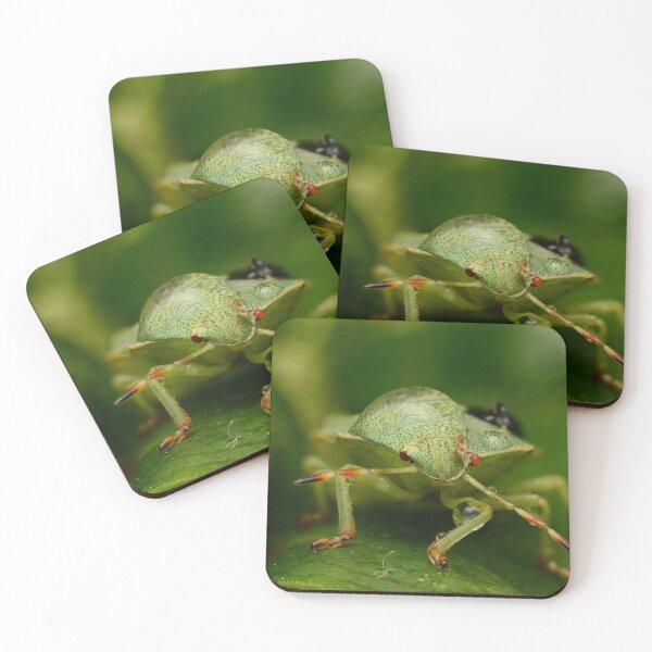 Item preview, Macro of Green Shield Bug (Palomena prasina) designed and sold by Goiko7Margarita.