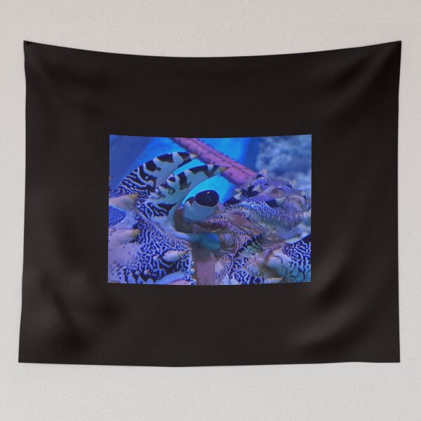 Item preview, Lobster watching you designed and sold by Shannonshaw300.