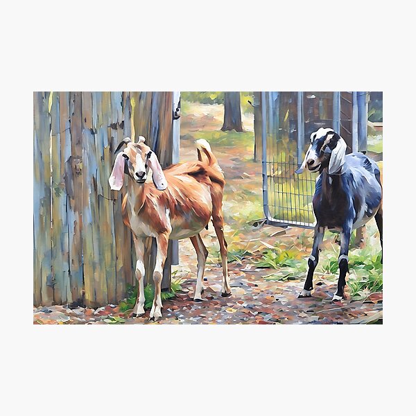 Item preview, watercolor blue moon and her sister Dakota Nubian goat family   designed and sold by RobynPeters1836.