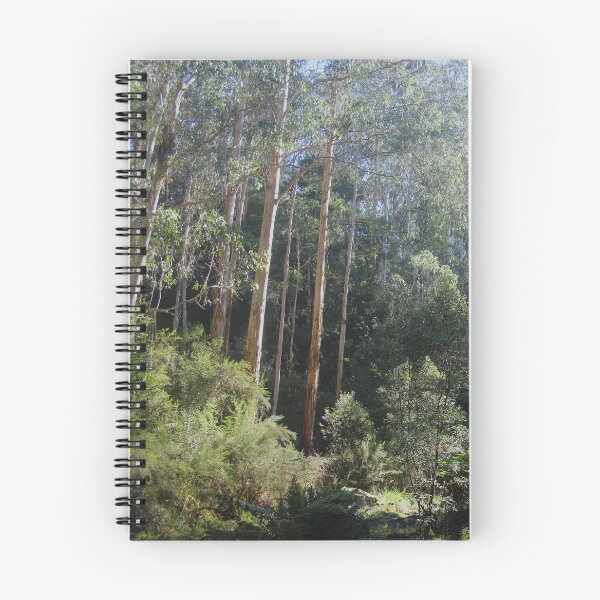 Item preview, Otways Rainforest designed and sold by Captured-Adventures11.