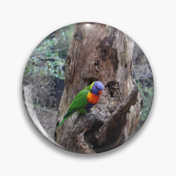 Item preview, Rainbow Lorikeet designed and sold by Captured-Adventures11.