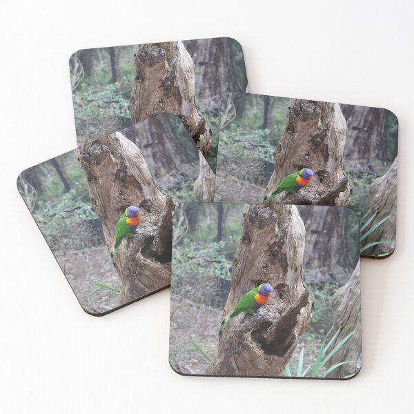 Item preview, Rainbow Lorikeet designed and sold by Captured-Adventures11.
