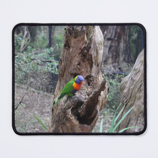 Item preview, Rainbow Lorikeet designed and sold by Captured-Adventures11.