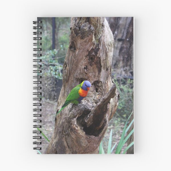 Item preview, Rainbow Lorikeet designed and sold by Captured-Adventures11.