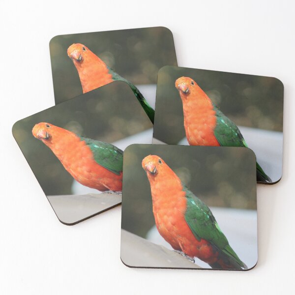 Item preview, King Parrot designed and sold by Captured-Adventures11.