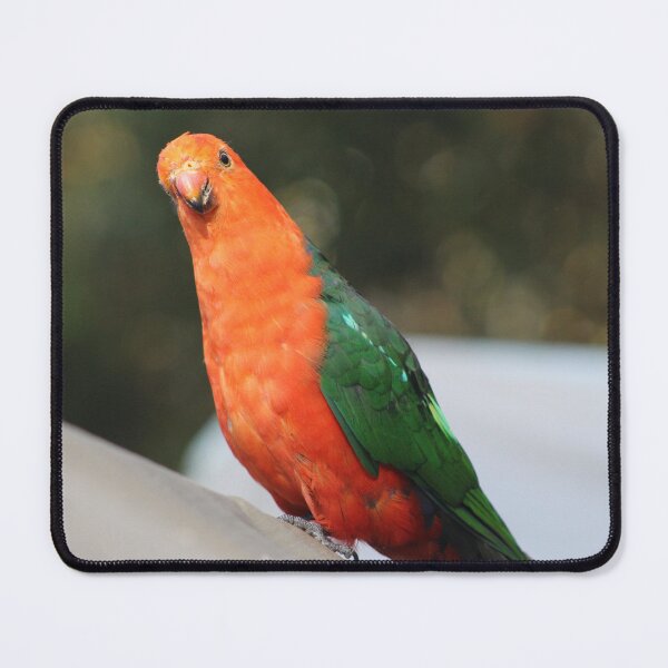 Item preview, King Parrot designed and sold by Captured-Adventures11.