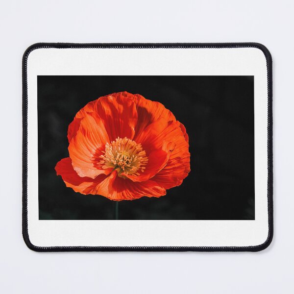 Item preview, Poppy designed and sold by PVphotography.