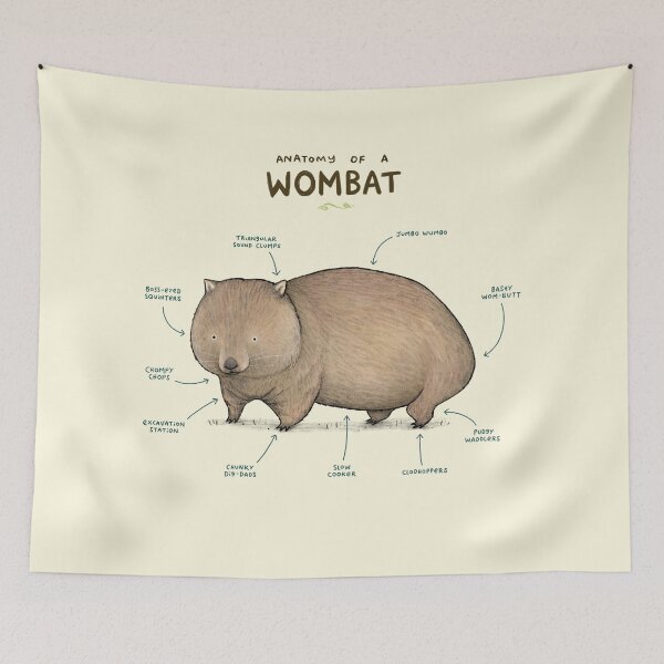 Item preview, Anatomy of a Wombat designed and sold by SophieCorrigan.