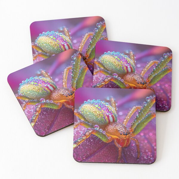 Item preview, Colorful Spider with Dew Drops on Plant Leaf designed and sold by Artessie.