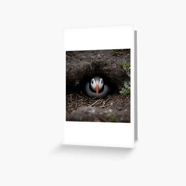 Don't worry Be happy ! Carte de vœux