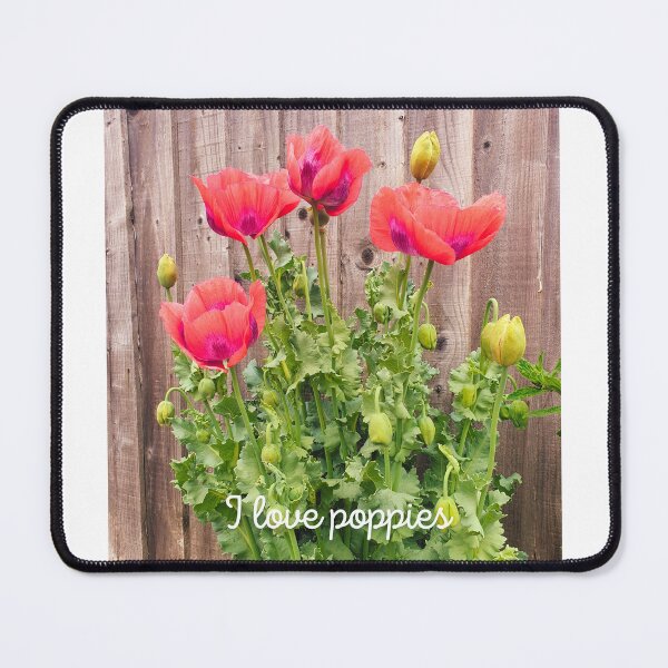 Item preview, I Love Poppies. Poppies Are Delicate And Beautiful. designed and sold by Dinasshop.