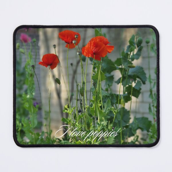 Item preview, I Love Poppies. Poppies Are Delicate And Beautiful. designed and sold by Dinasshop.