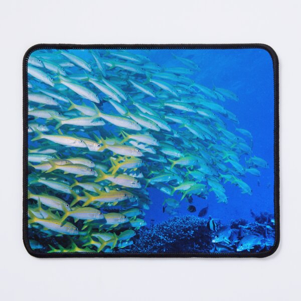 Item preview, School of Tropical Fish designed and sold by tank200bar.