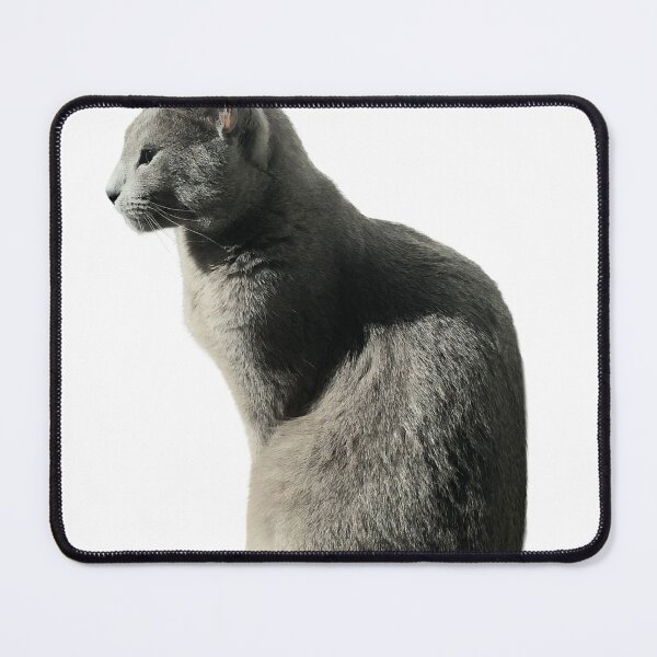 Item preview, Renzo the Majestic Grey Cat – Russian Blue Style Feline Art designed and sold by SilverBlueCat.