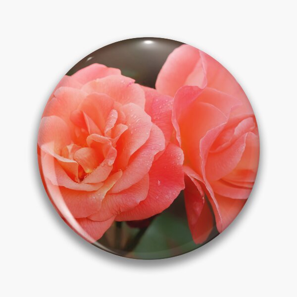 Item preview, Late Summer Peach Roses designed and sold by Dorset Girl.
