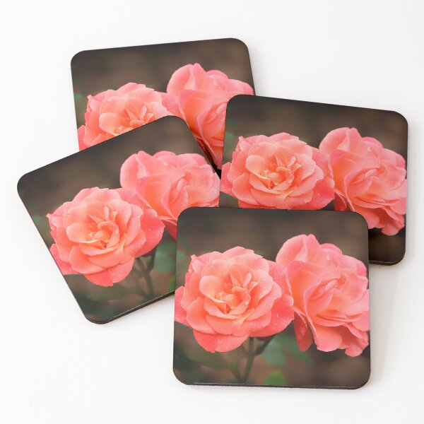 Item preview, Late Summer Peach Roses designed and sold by Dorset Girl.