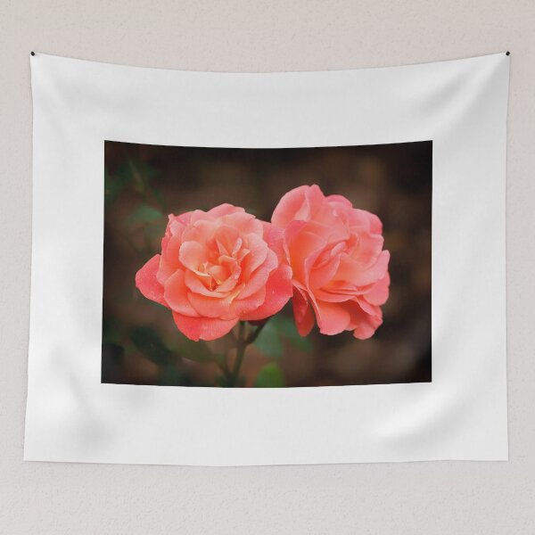 Item preview, Late Summer Peach Roses designed and sold by Dorset Girl.