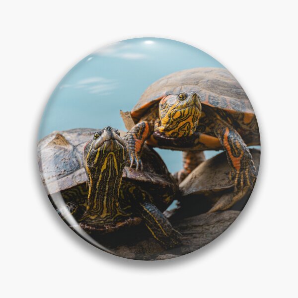 Item preview, Turtles basking on a log Sao Paulo  designed and sold by Sonny Vermeer.