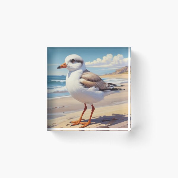Item preview, Piping Plover designed and sold by GasconyPassion.