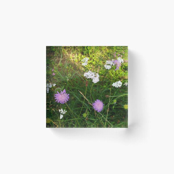 Item preview, Wild Flowers Photo designed and sold by Sky-99.