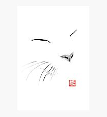 white cat Photographic Print