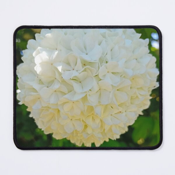 Item preview, White Snowball Flower – Nature Photography designed and sold by SiseonStudio.